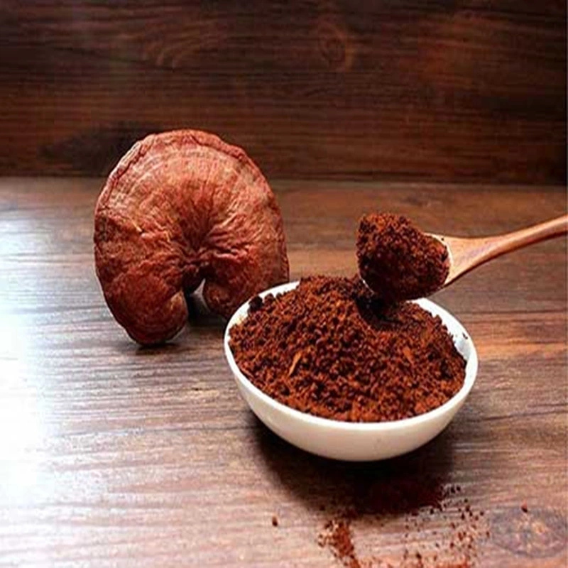 Wholesale reishi spore powder wall-broken ganoderma lucidum spore powder